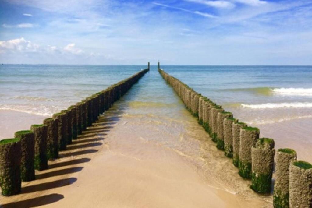 Vrijvakantiehuis Houtenburgseweg 2 ザウテランデ エクステリア 写真