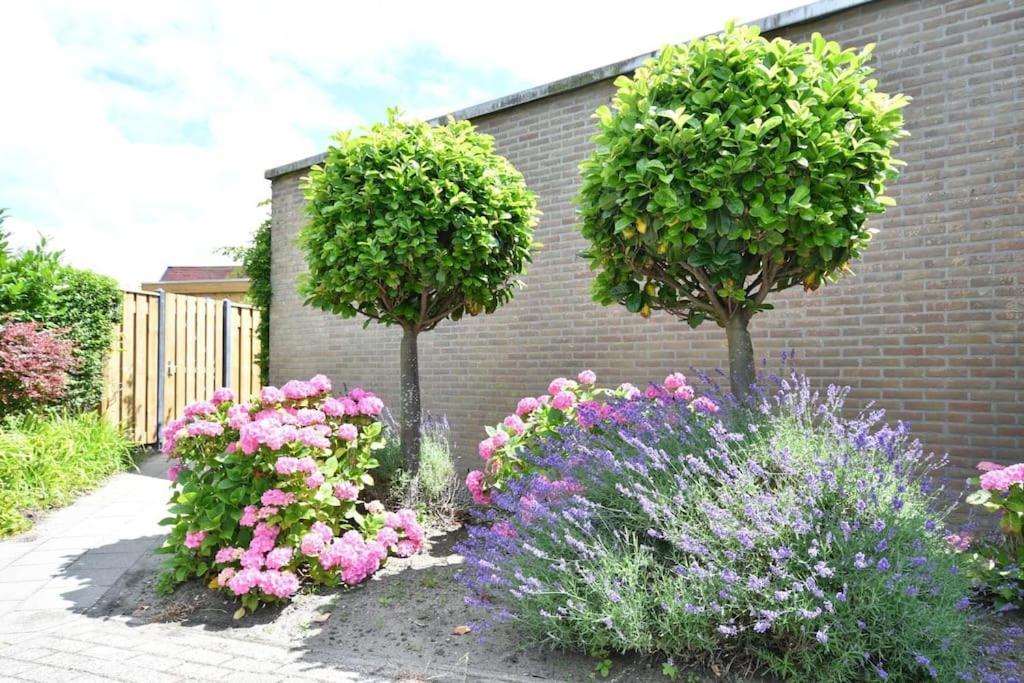 Vrijvakantiehuis Houtenburgseweg 2 ザウテランデ エクステリア 写真